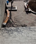 dailyPhoto38